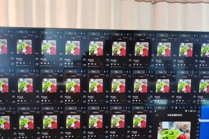 （3216期）外面卖3500的音乐人挂机群控防F脚本 支持腾讯/网易云/抖音 号称100%防F