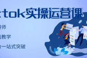 (2957期)TikTok实操运营课,手把手账号实战,适合零基础Tiktok新人