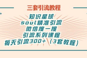 (2867期)知识星球+soul+微信搜一搜,引流系列课程,每天300+精准粉(3套教程)