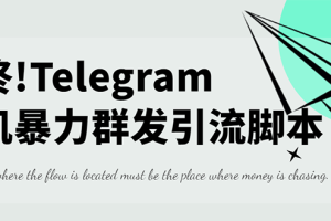 (2653期)外面收费5000的飞机群发器,永久版脚本+详细教程