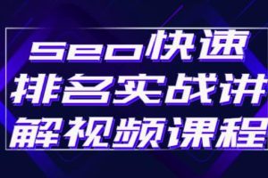 (2412期)seo快速排名实战讲解视频课程,揭秘seo快排原理