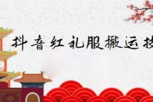 (2235期)抖音红礼服搬运技术,最近很火的搬运方法,外面收大几百-1