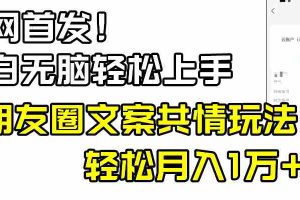 （8860期）小白轻松无脑上手，朋友圈共情文案玩法，月入1W+