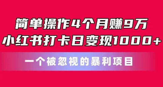 简单操作4个月赚9w，小红书打卡日变现1k，一个被忽视的暴力项目【揭秘】