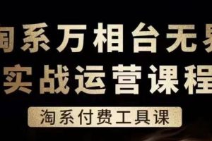淘系万相台无界实战运营课,淘系付费工具课