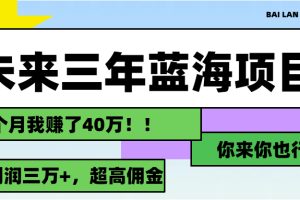 (11716期)未来三年,蓝海赛道,月入3万+