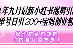 （12530期）小红书混剪引流，单号日引200+宝妈创业粉，操作简单可矩阵（内含扛封…