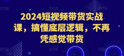 2024短视频带货实战课，搞懂底层逻辑，不再凭感觉带货