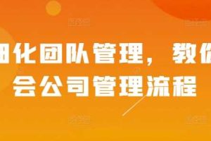 精细化团队管理，教你学会公司管理流程