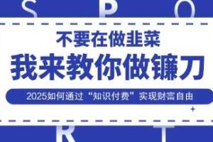 韭菜生涯终结者，我来教你做镰刀，2025如何通过“知识付费”实现财F自由【揭秘】