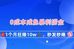 0成本闲鱼暴利捞金，1个月狂赚10W+，秒发秒赚新玩法