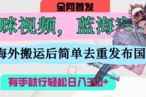 AI猫咪视频蓝海赛道，操作简单，直接海外搬运，简单去重，操作简单，有手就行日入3张