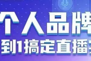 个人品牌:从0到1搞定直播实操,用直播为你的个人品牌赋能,六大实操板块,放大个人影响力