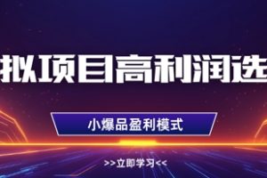 虚拟项目高利润选品方法，做好单店利润1W+，可多店倍增利润