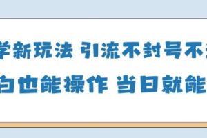 国学新玩法，引流不封号不违规小白也能操作，当日就能变现