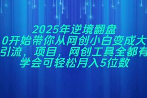（14473期）2025年逆境翻盘，从0开始带你从网创小白变成大佬，引流，项目，网创工…