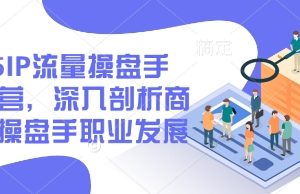 2025IP流量操盘手训练营，深入剖析商业IP操盘手职业发展