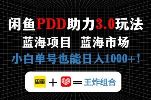 （14516期）闲鱼卖拼多多助力项目，蓝海市场新手也能单号日入1000+