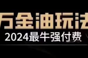 2024最牛强付费，万金油强付费玩法，干货满满，全程实操起飞（更新25年04月）