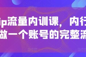 个人ip流量内训课，内行人教你做一个账号的完整流程