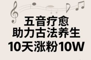 古法五音养生教程，五音疗愈的视频的制作方法，2-4小时就能学会，作者10天涨粉10W
