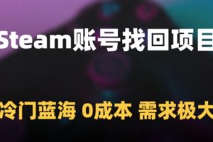 Steam账号找回项目，冷门蓝海，0成本，需求极大