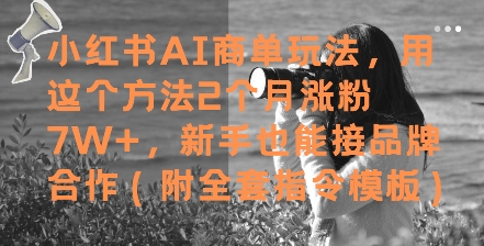 小红书AI商单玩法，用这个方法2个月涨粉7W+，新手也能接品牌合作(附全套指令模板)网赚项目-副业赚钱-互联网创业-资源整合白嫖の网赚