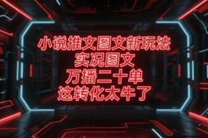 小说推文图文新玩法，实况图文，万播二十单，这转化太牛了！