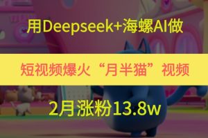 用Deepseek+海螺AI做短视频爆火“月半猫”视频，2月涨粉13.8w