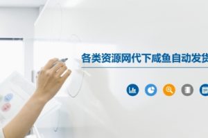 各类资源网代下咸鱼自动发货