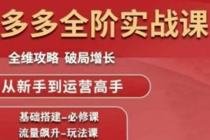 拼多多全阶实战课程，全维攻略，破局增长，从新手到运营高手
