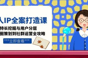 个人IP全案打造课，特长挖掘与用户分层，朋友圈策划到社群运营全攻略