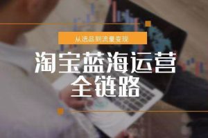 （15160期）淘宝蓝海运营全链路，从选品到流量变现，小类目突围完整方案