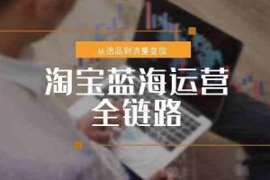 淘宝蓝海运营全链路，从选品到流量变现，小类目突围完整方案