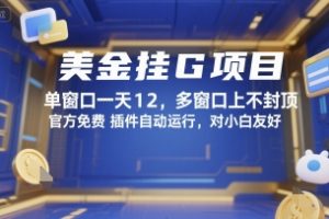 美金挂G项目，单窗口一天12，多窗口上不封顶，官方免费插件自动运行，对小白友好【揭秘】