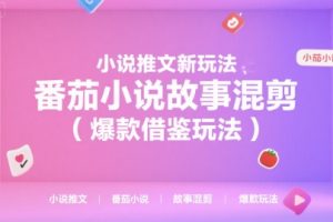 小说推文新玩法，番茄小说故事混剪（爆款借鉴玩法）