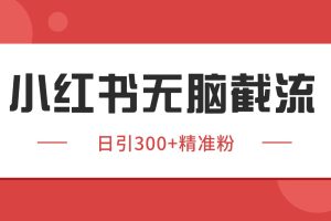小红书截流同行客源，独家野路子获客玩法 日引200+暴力获客