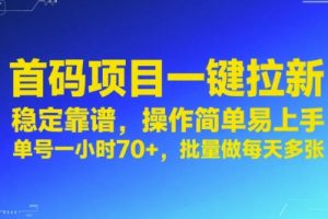 首码项目一键拉新，稳定靠谱，操作简单易上手，单号一小时70+，批量做每天多张【揭秘】
