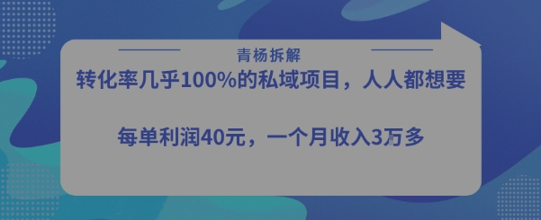 转化率最高的私域项目，每单利润40-50米，月入过1w网赚项目-副业赚钱-互联网创业-资源整合白嫖の网赚