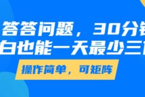 答答问题，30分钟，小白也能一天最少也有三位数，操作简单