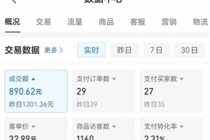 2025版多多冷门虚拟U盘项目玩法，单店铺月变现1w+，稳赚不赔！