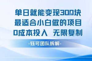 单日就能变现3张最适合小白做的项目0成本投入 无限复制