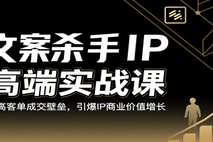 文案杀手IP高端实战课：破高客单成交壁垒，引爆IP商业价值增长