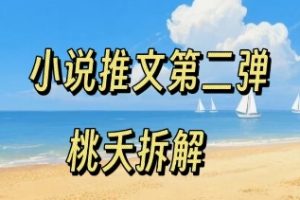 小说推文项目操作全流程第二弹，0粉就能做，门槛低非常适合新手