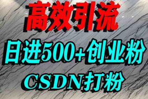 怎么打创业粉？CSDN又一个你不知道的打粉引流神秘平台，单人日引500+精准流量