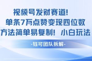 视频号发财赛道单条7W点赞变现四位数方法简单易复制小白玩法