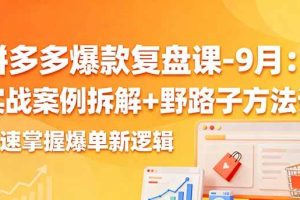 （16176期）拼多多爆款复盘课-9月：实战案例拆解+野路子方法论，快速掌握爆单新逻辑