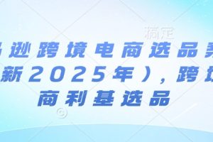 亚马逊跨境电商选品案例(更新2025年10月)，跨境电商利基选品