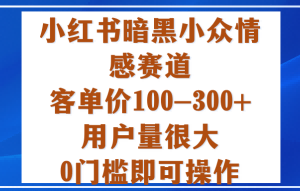 小红书暗黑小众情感赛道，客单价100-300+用户量很大，0门槛即可操作