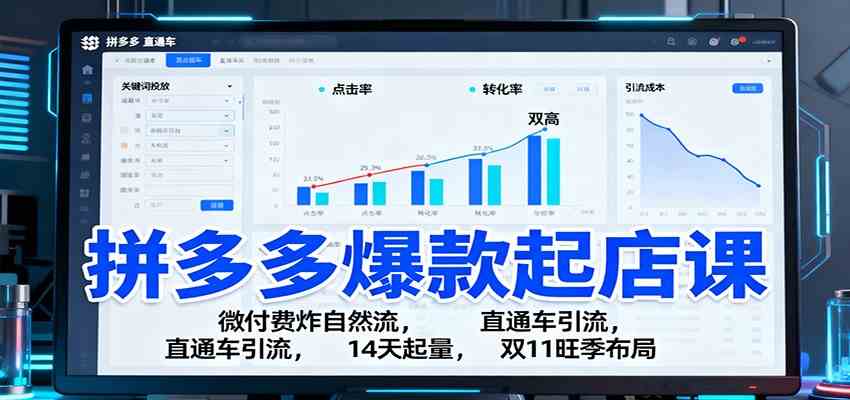 拼多多爆款起店课：微付费炸自然流，直通车引流，14天起量，双11旺季布局网赚项目-副业赚钱-互联网创业-资源整合白嫖の网赚